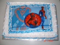 /album/bolo-de-aniversario/dsc06717-jpg/